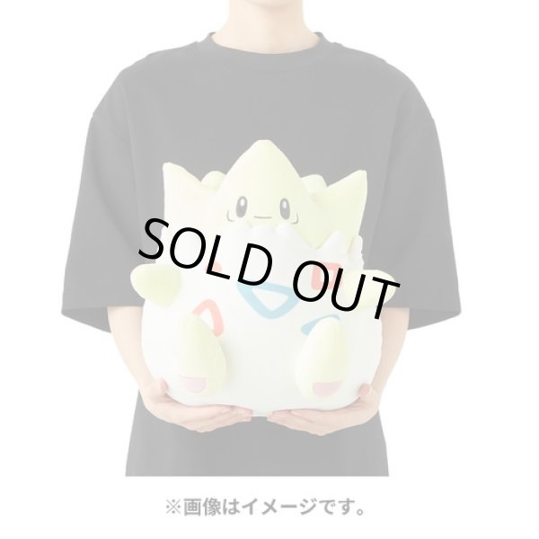 Photo5: Pokemon Center 2024 Mochiricchi Fluffy Plush doll Togepi (5)
