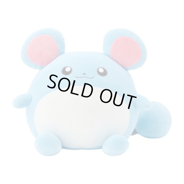 Photo1: Pokemon Center 2024 Mochiricchi Fluffy Plush doll Marill (1)