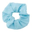 Photo1: Pokemon Center 2024 Lost Quaxly Hair bands Scrunchie Light blue (1)