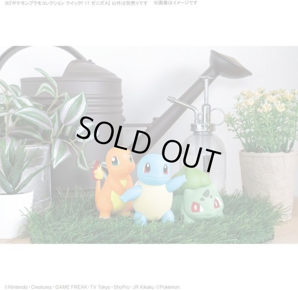 Photo8: Pokemon 2024 PLAMO Collection Quick!! 17 Squirtle Plastic Model Kit (8)