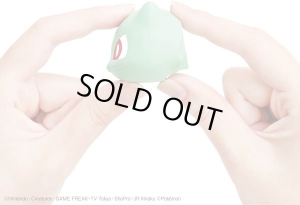 Photo5: Pokemon 2022 PLAMO Collection Quick!! 13 Bulbasaur Plastic Model Kit (5)