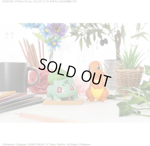 Photo7: Pokemon 2022 PLAMO Collection Quick!! 13 Bulbasaur Plastic Model Kit (7)