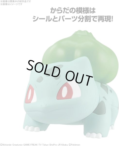 Photo3: Pokemon 2022 PLAMO Collection Quick!! 13 Bulbasaur Plastic Model Kit (3)