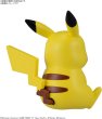Photo4: Pokemon 2023 PLAMO Collection Quick!! 16 Pikachu Sitting Plastic Model Kit (4)