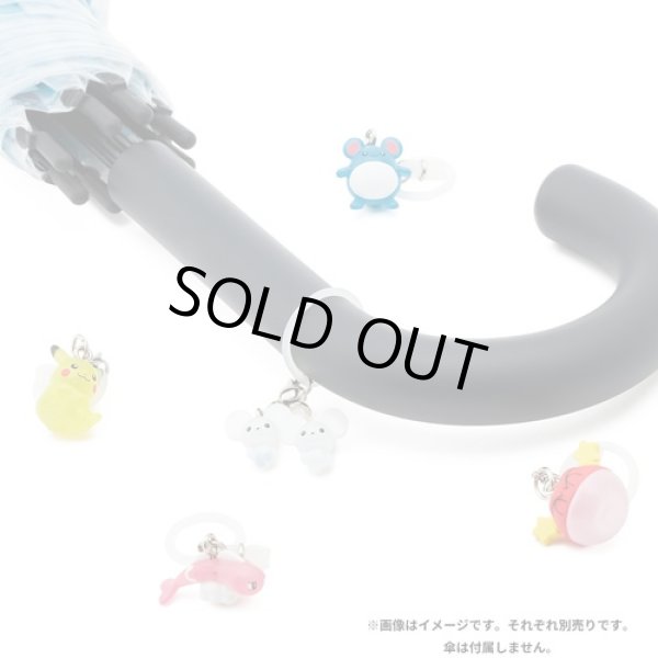 Photo6: Pokemon Center 2024 Mejirushi Mark Figure vol.2 Tandemaus ver. (6)