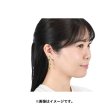 Photo4: Pokemon Center 2024 Cafe Chadesu Pierced Earrings P95 (4)