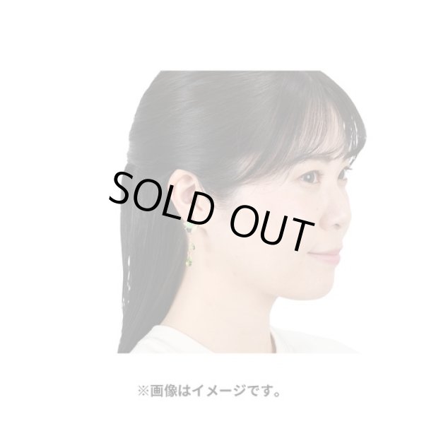 Photo4: Pokemon Center 2024 Cafe Chadesu Pierced Earrings P95 (4)