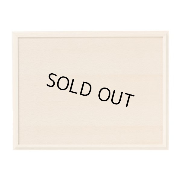 Photo2: Pokemon Center 2024 Cafe Chadesu Wood Tray (2)