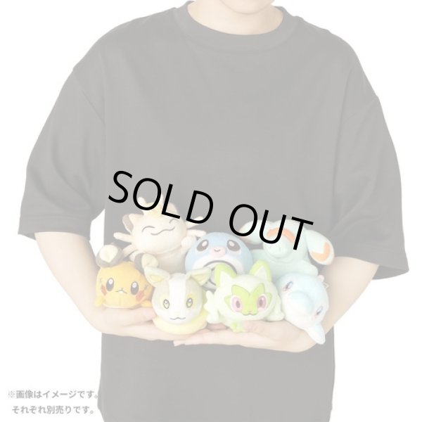 Photo5: Pokemon Center 2024 Washable Plush doll Meowth (5)