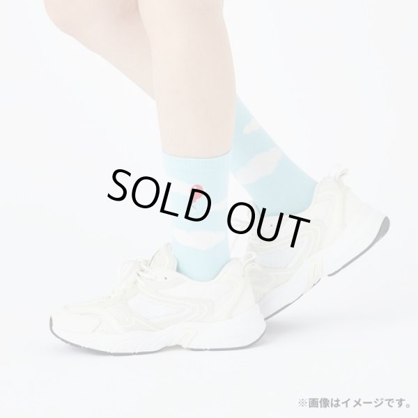 Photo1: Pokemon Center 2024 Middle Socks for Women 23 - 25 cm 1 Pair Tinkaton (1)