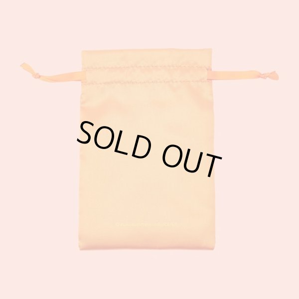 Photo5: Pokemon Center 2024 Pokemon accessory Hand mirror with bag Fire Terastal Flareon (5)