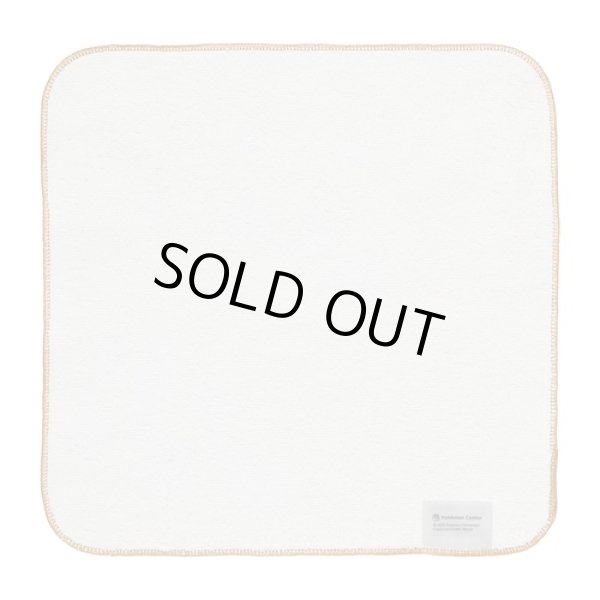 Photo2: Pokemon Center 2024 Hand towel Handkerchief Orthworm (2)