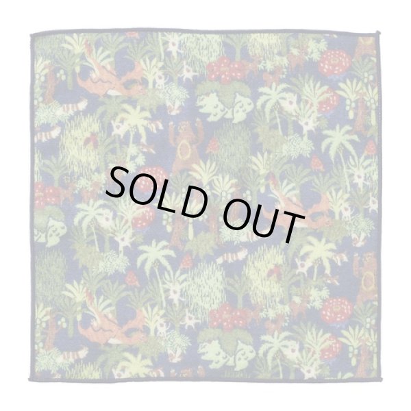 Photo1: Pokemon Center 2024 Hand towel Handkerchief Pokemon Concierge Botanical (1)