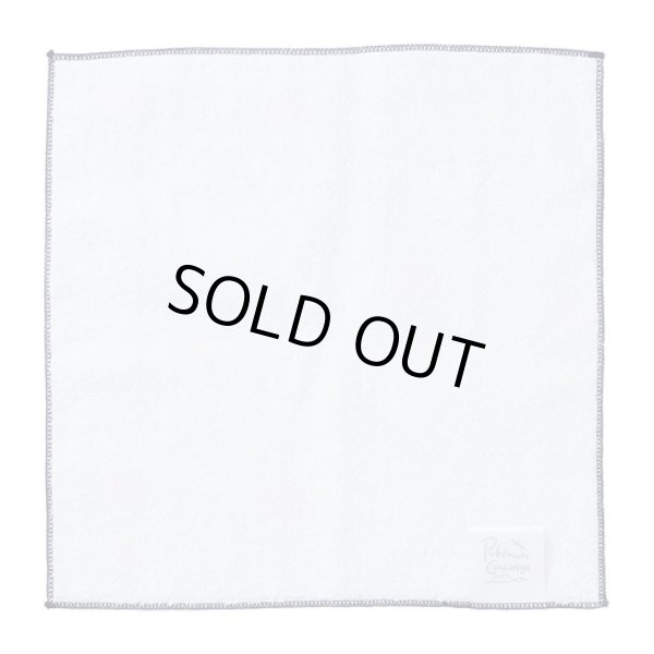 Photo2: Pokemon Center 2024 Hand towel Handkerchief Pokemon Concierge Botanical (2)