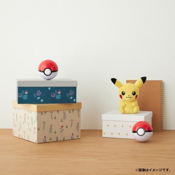 Photo6: Pokemon Center 2024 mt Removable Decoration Tape Pikachu 23cm x 3m (6)