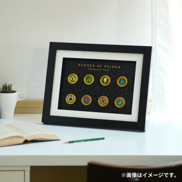 Pokemon Center Original Badge Collection Champion Road Set