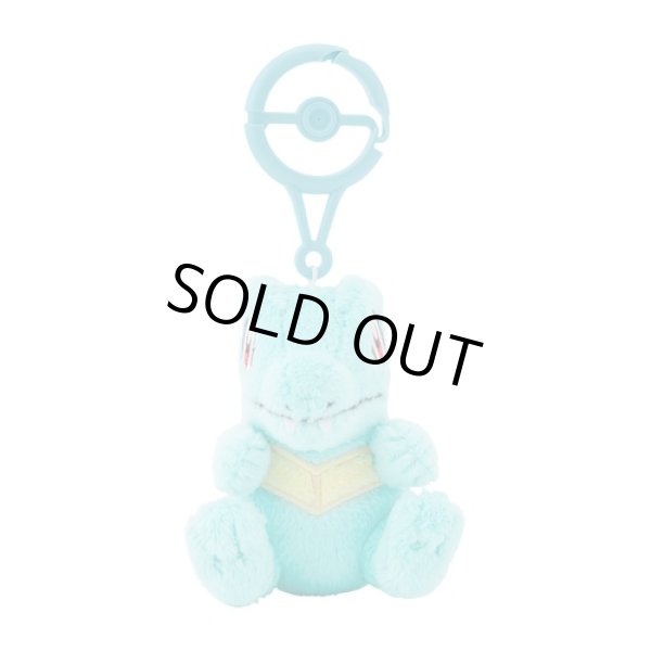 Photo2: Pokemon Center 2024 Plush Mascot with Carabiner Key chain Totodile (2)