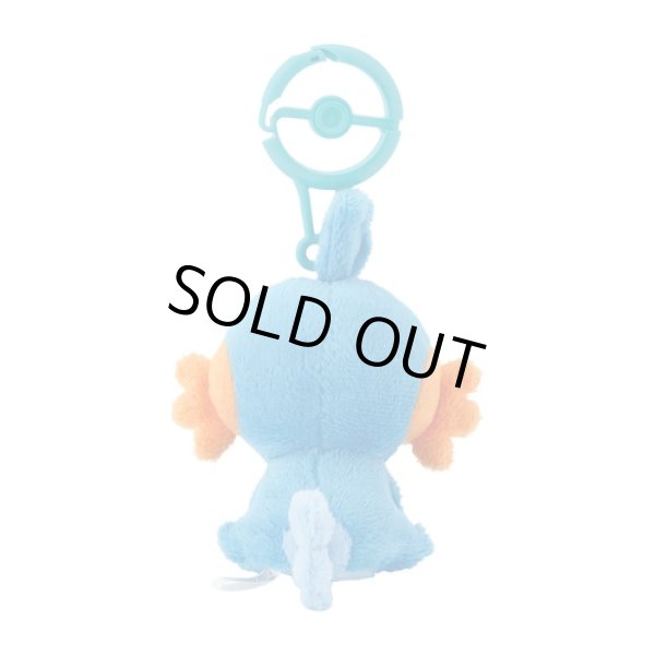 Photo3: Pokemon Center 2024 Plush Mascot with Carabiner Key chain Mudkip (3)