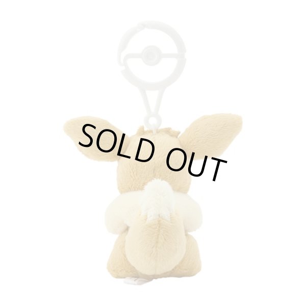 Photo4: Pokemon Center 2024 Plush Mascot with Carabiner Key chain Eevee (4)