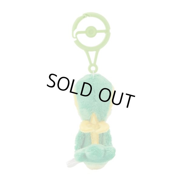 Photo3: Pokemon Center 2024 Plush Mascot with Carabiner Key chain Snivy (3)