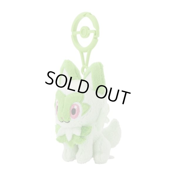 Pokemon Center 2024 Plush Mascot with Carabiner Key chain Pokemon Center 2024 Plush Mascot with Carabiner Key chain