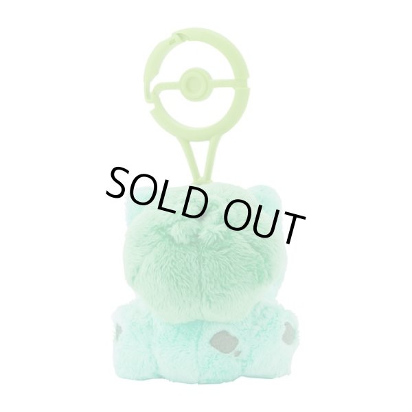 Photo3: Pokemon Center 2024 Plush Mascot with Carabiner Key chain Bulbasaur (3)