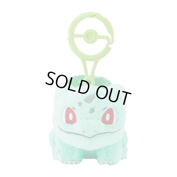 Photo1: Pokemon Center 2024 Plush Mascot with Carabiner Key chain Bulbasaur (1)