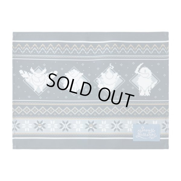 Photo1: Pokemon Center 2024 Snowy Gathering Placemat (1)