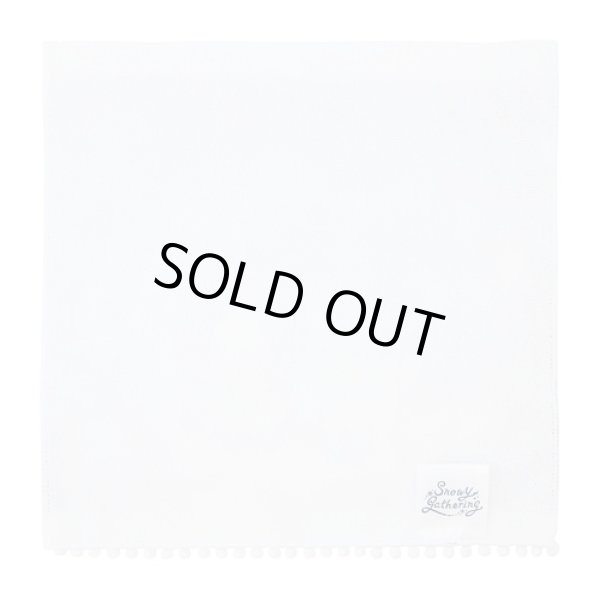 Photo2: Pokemon Center 2024 Hand towel Handkerchief Snowy Gathering (2)