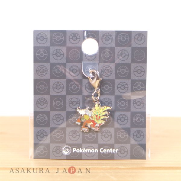 Photo3: Pokemon Center 2024 Metal Charm # 1020 Gouging Fire (3)
