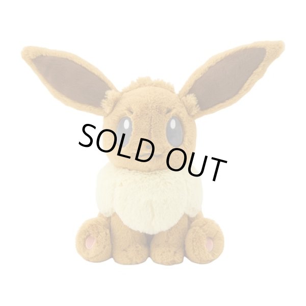 Photo1: Pokemon Center 2025 FUWA-FUWA Fluffy Plush doll Eevee (1)