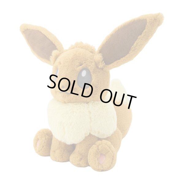 Photo2: Pokemon Center 2025 FUWA-FUWA Fluffy Plush doll Eevee (2)
