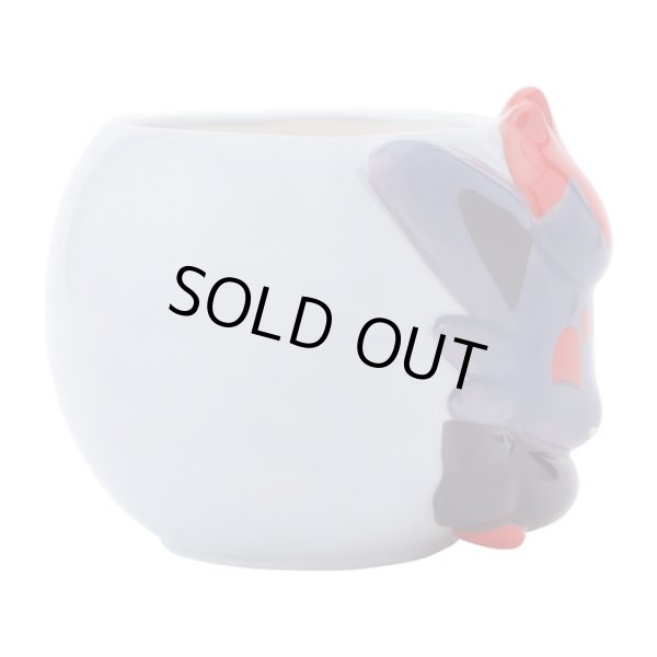 Photo3: Pokemon Center 2025 Similar Companions Porcelain Mug Zorua ver. (3)