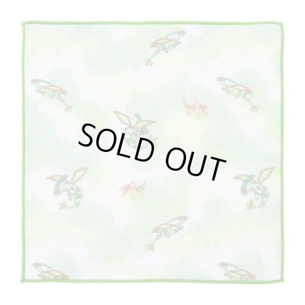 Photo1: Pokemon Center 2024 Hand towel Handkerchief Flygon Krookodile (1)