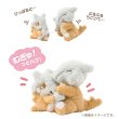 Photo1: Pokemon Center 2025 Buru Buru Mugyu! Don't Cry String Hugging Plush doll Cubone & Marowak (1)
