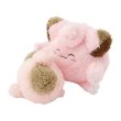 Photo3: Pokemon Center 2025 Buru Buru Mugyu! Don't Cry String Hugging Plush doll Cleffa & Clefairy (3)