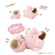 Photo1: Pokemon Center 2025 Buru Buru Mugyu! Don't Cry String Hugging Plush doll Cleffa & Clefairy (1)