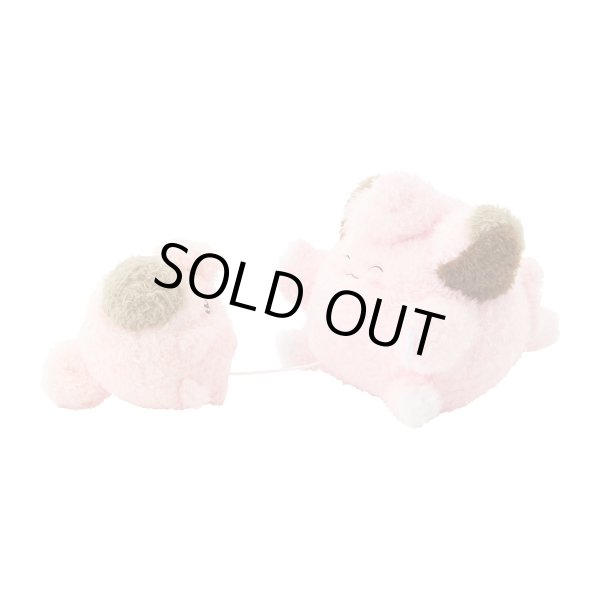 Photo5: Pokemon Center 2025 Buru Buru Mugyu! Don't Cry String Hugging Plush doll Cleffa & Clefairy (5)