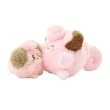 Photo2: Pokemon Center 2025 Buru Buru Mugyu! Don't Cry String Hugging Plush doll Cleffa & Clefairy (2)