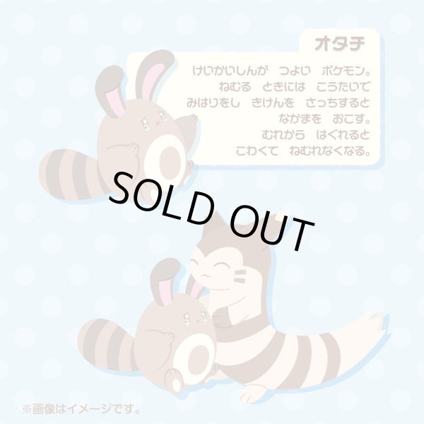 Photo5: Pokemon Center 2025 Buru Buru Mugyu! Don't Cry String Hugging Plush doll Sentret & Furret (5)