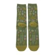 Photo2: Pokemon Center 2024 Socks for Women 23 - 25 cm 1 Pair Middle Botanical (2)