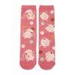 Photo1: Pokemon Center 2024 Socks for Women 23 - 25 cm 1 Pair Middle Jigglypuff Scream Tail (1)
