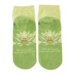 Photo2: Pokemon Center 2024 Socks for Women 23 - 25 cm 1 Pair Short Ogerpon (2)