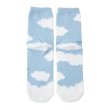 Photo2: Pokemon Center 2024 Socks for Women 23 - 25 cm 1 Pair Fluffy MOKOMOKO Swablu (2)
