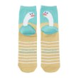 Photo1: Pokemon Center 2024 Socks for Women 23 - 25 cm 1 Pair Middle Wiglett (1)