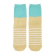 Photo2: Pokemon Center 2024 Socks for Women 23 - 25 cm 1 Pair Middle Wiglett (2)