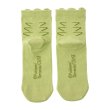Photo2: Pokemon Center 2026 Socks with Ears for Women 23 - 25 cm 1 Pair Middle Tyranitar (2)