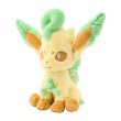Photo2: Pokemon Center 2025 FUWA-FUWA Fluffy Plush doll Leafeon (2)