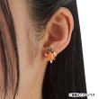 Photo3: Pokemon Center 2026 Pokemon Face Earrings - Clips Earrings ver. #50 Tepig 1 pc (3)