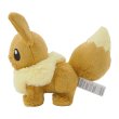 Photo3: Pokemon Center 2025 Plush doll Eevee Standing ver. 2 (3)